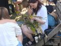 2025 07 06 kupala